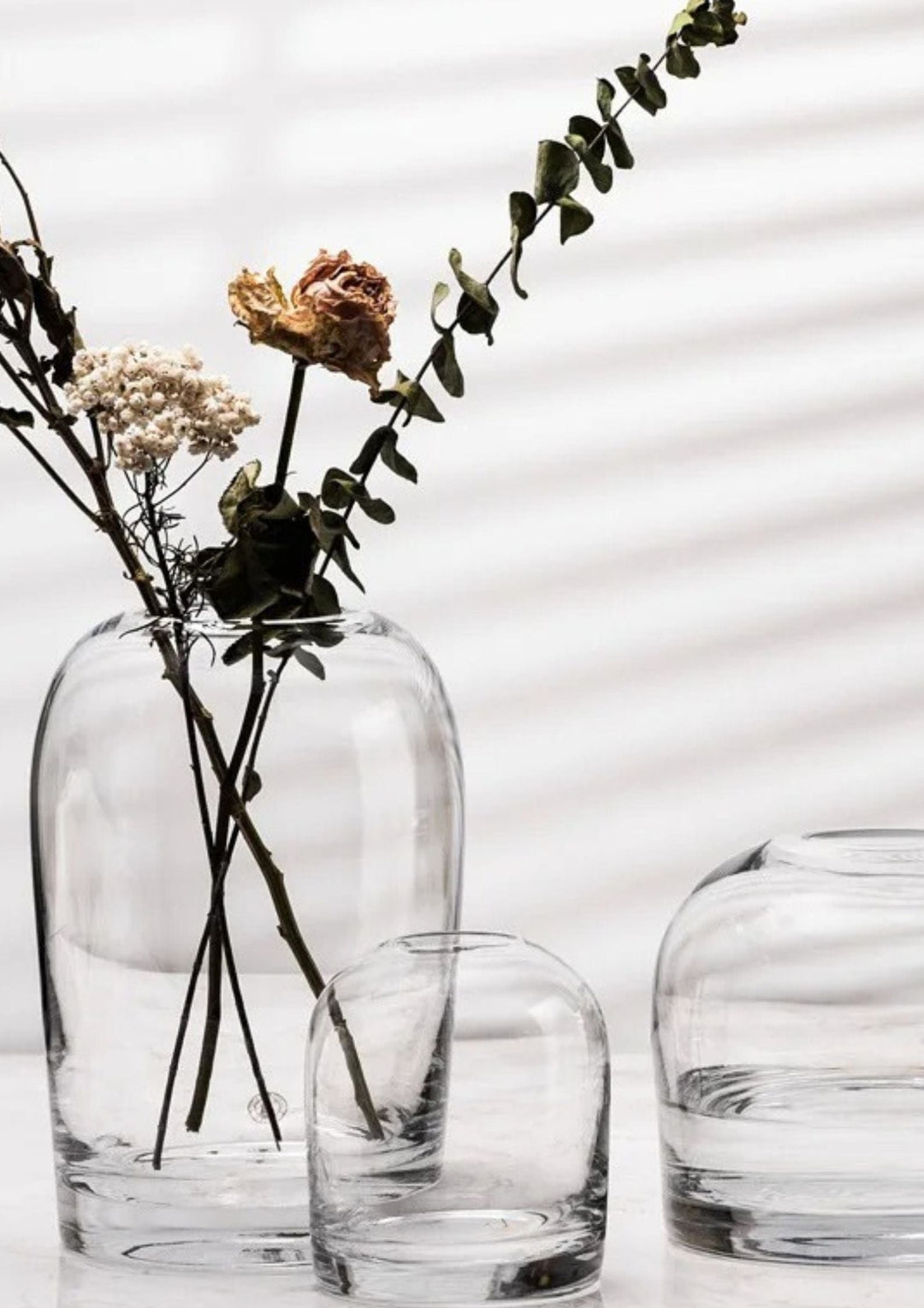 Le Monde du Vase Vase Transparent <br> Collection Éclatante </br>