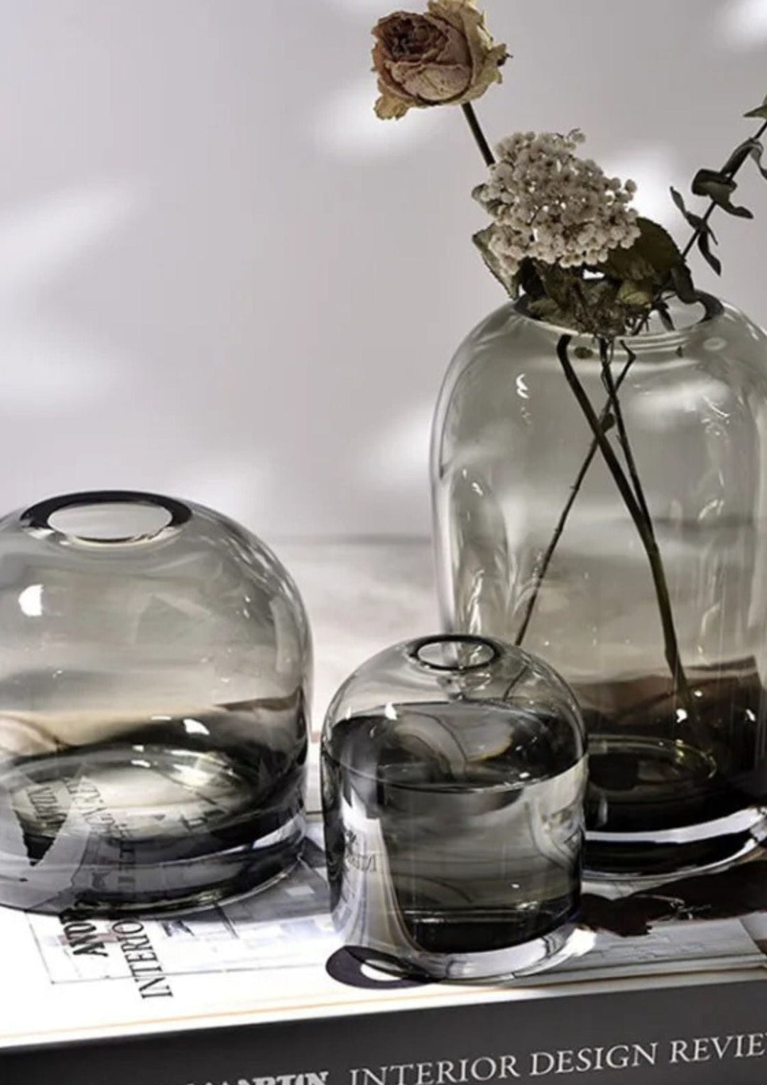 Le Monde du Vase Vase Transparent <br> Collection Éclatante